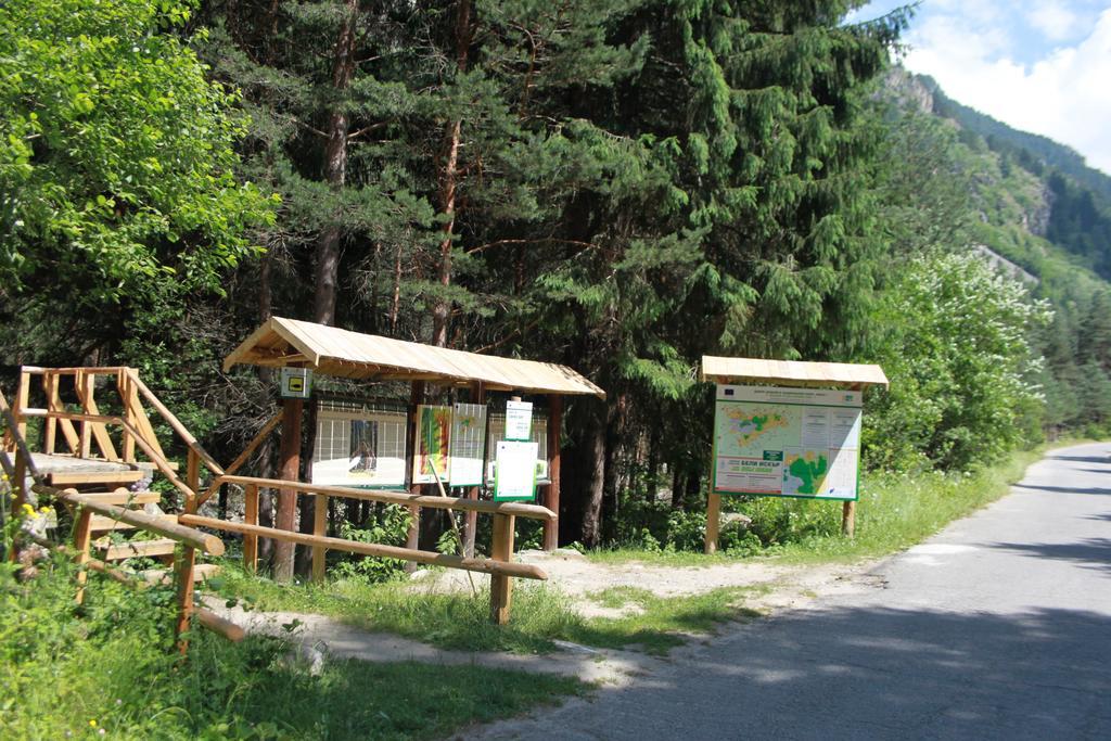 The Stone Villa Beli Iskar Exteriér fotografie